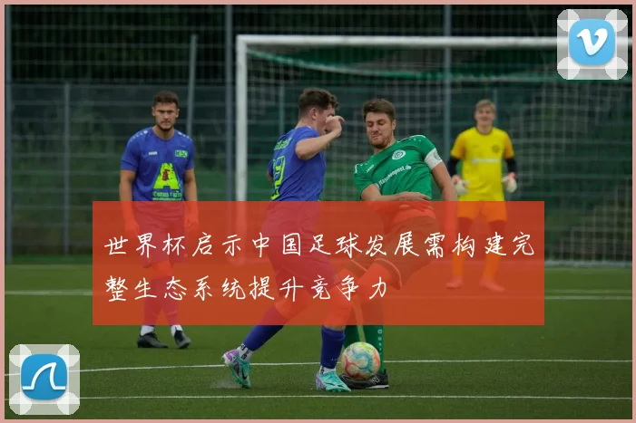 世界杯启示中国足球发展需构建完整生态系统提升竞争力