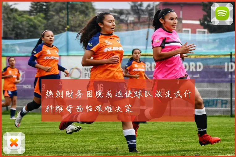 热刺财务困境或迫使球队放走武什科维奇面临艰难决策