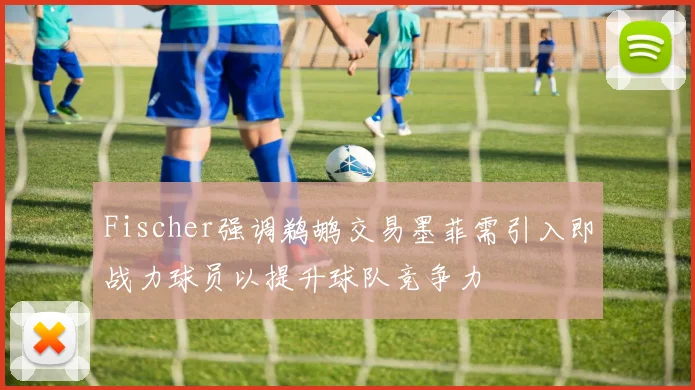 Fischer强调鹈鹕交易墨菲需引入即战力球员以提升球队竞争力