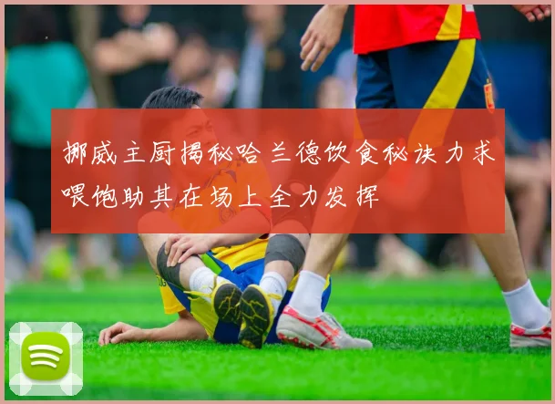 挪威主厨揭秘哈兰德饮食秘诀力求喂饱助其在场上全力发挥